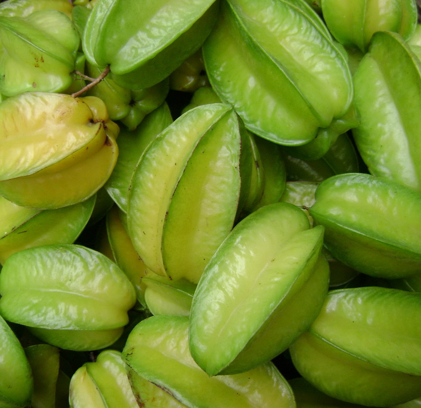 懷孕后孕婦能吃楊桃嗎?吃楊桃的好處是什么