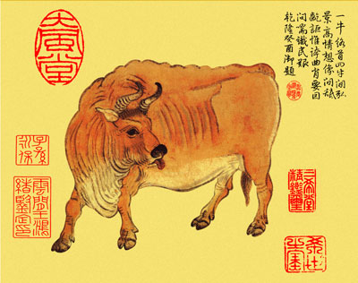 ЋDҊţʲôxЉҊţǺÉ᣿