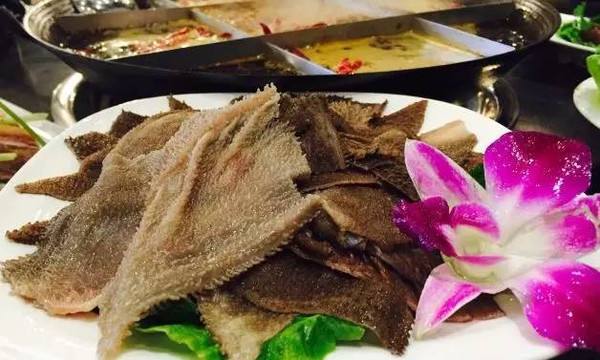 孕婦能吃毛肚嗎?懷孕期間吃毛肚對胎兒有影響嗎